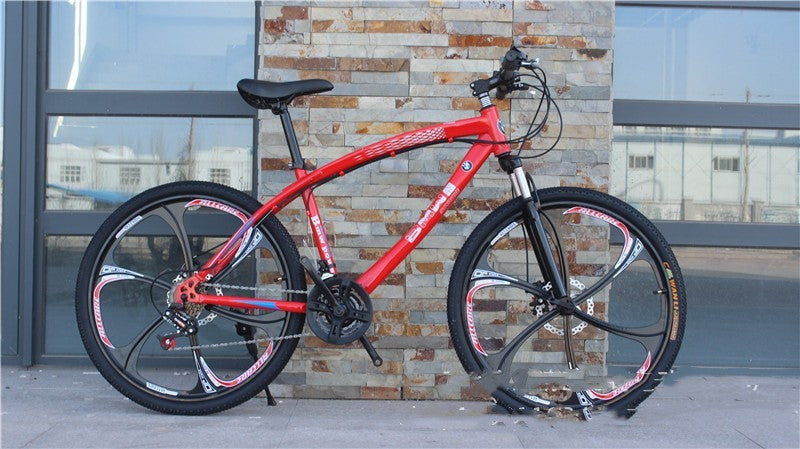 Cross Country Mountain Bike Double Disc Brake Off Road