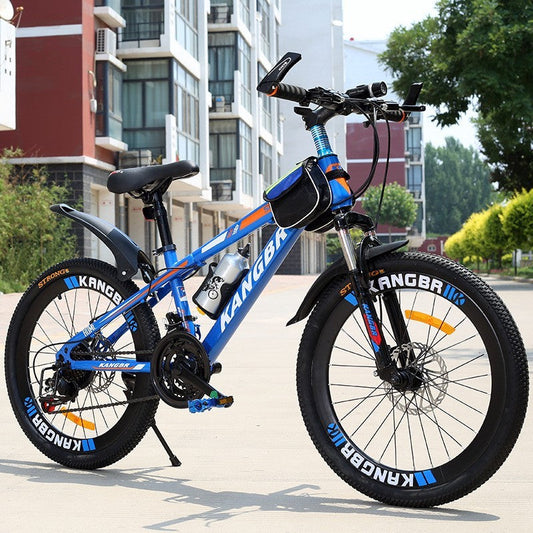 Variable Speed Mountain Bike Shock Absorption Inner Frame Sticker