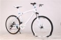 Cross Country Mountain Bike Double Disc Brake Off Road